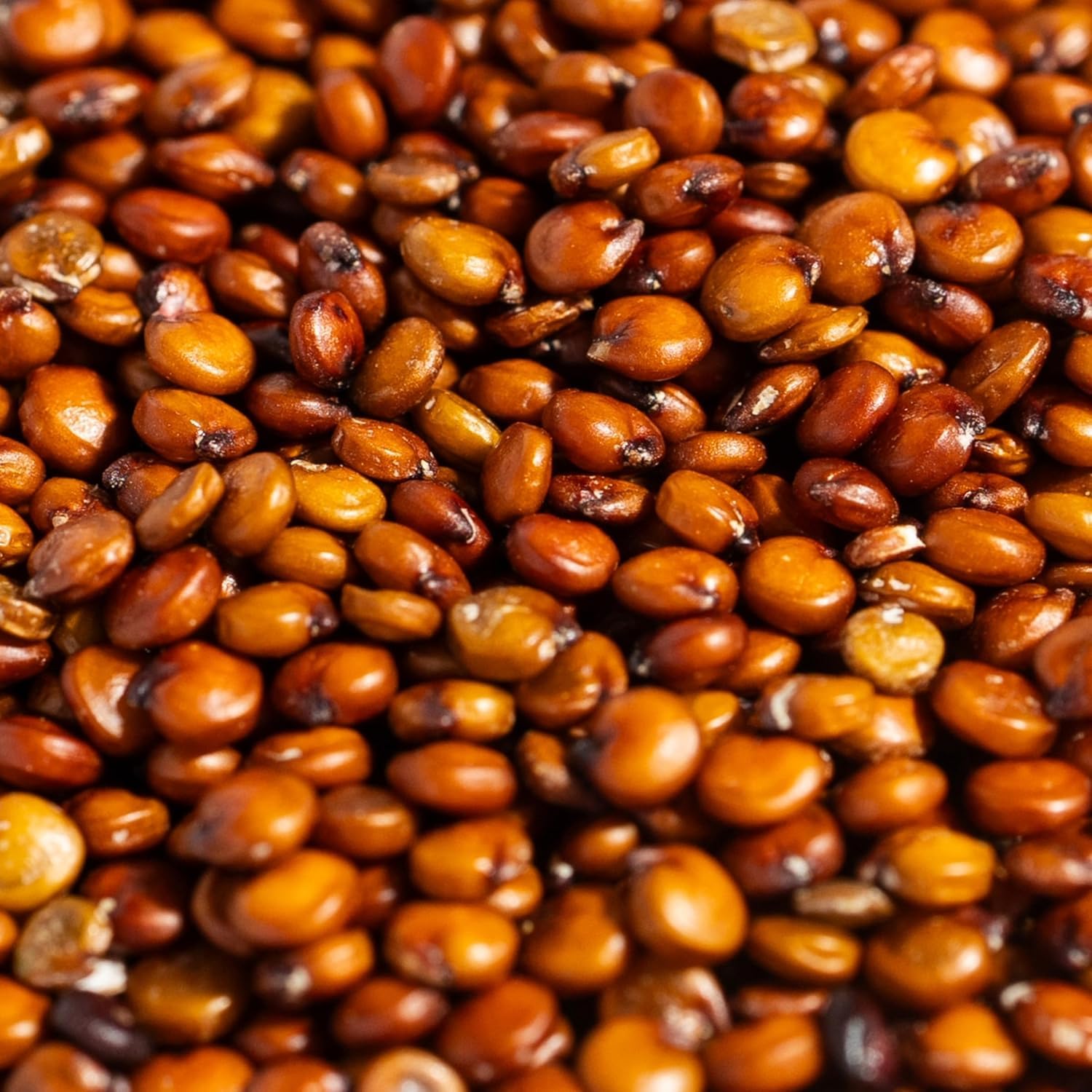 SIMPLi meal prep containers filled with quinoa for make-ahead lunches