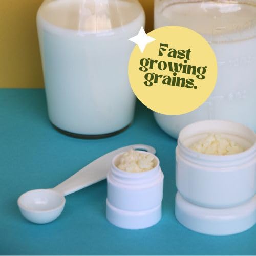 Simply Life Probiotics homemade kefir in a glass jar showing creamy texture and easy daily use