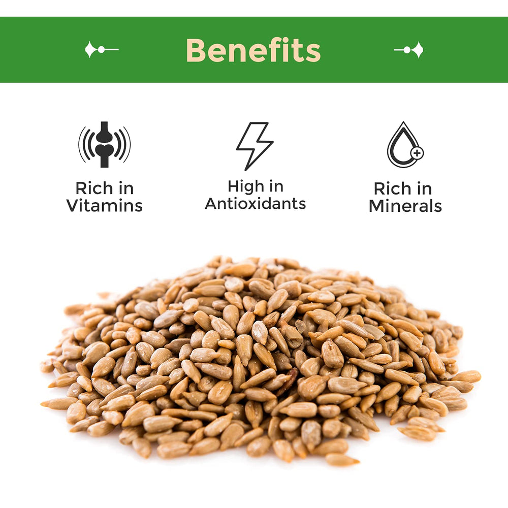 Close-up of Sincerely Nuts sunflower kernels highlighting roasted texture and crisp crunch