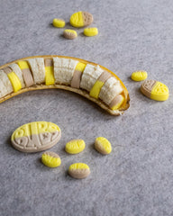 SkandyNova sour skulls detail showing tangy coating and playful shape