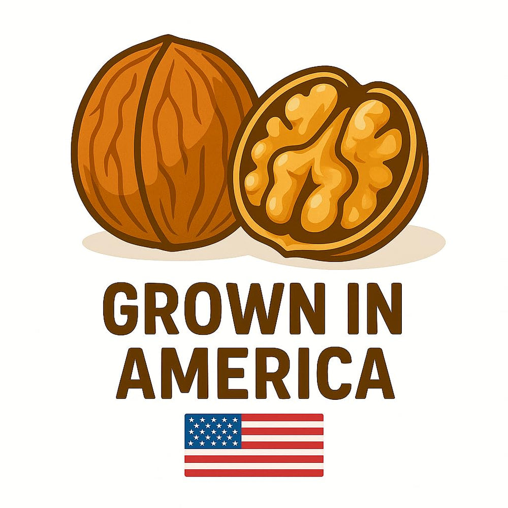 Sky Ecommerce cracked walnut showing kernel, illustrating usable nut meat for cooking