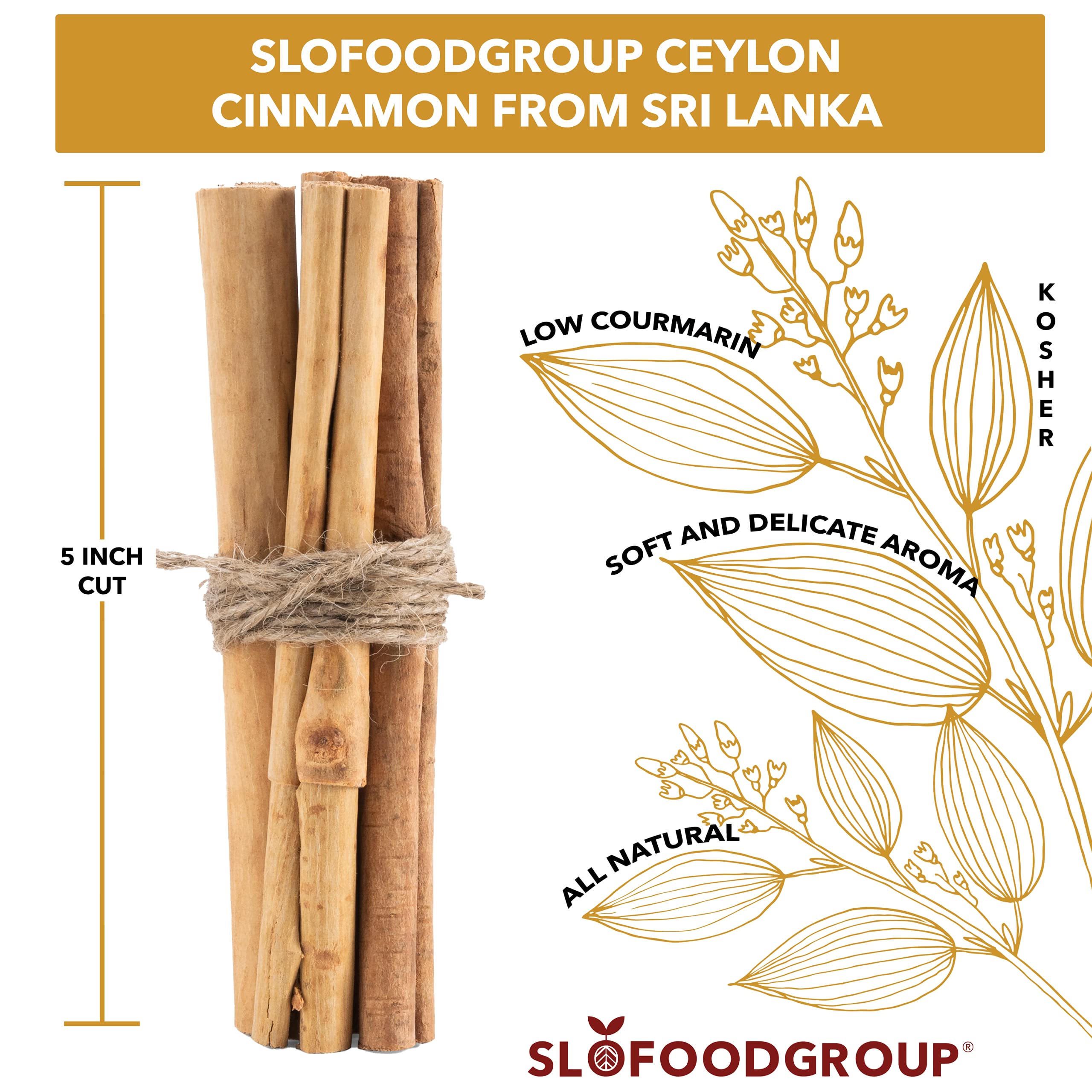 Slofoodgroup cinnamon stick held in hand showing 5 inch size
