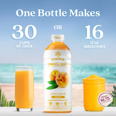 Smartfruit purée pouring from bottle into blender for fast smoothies