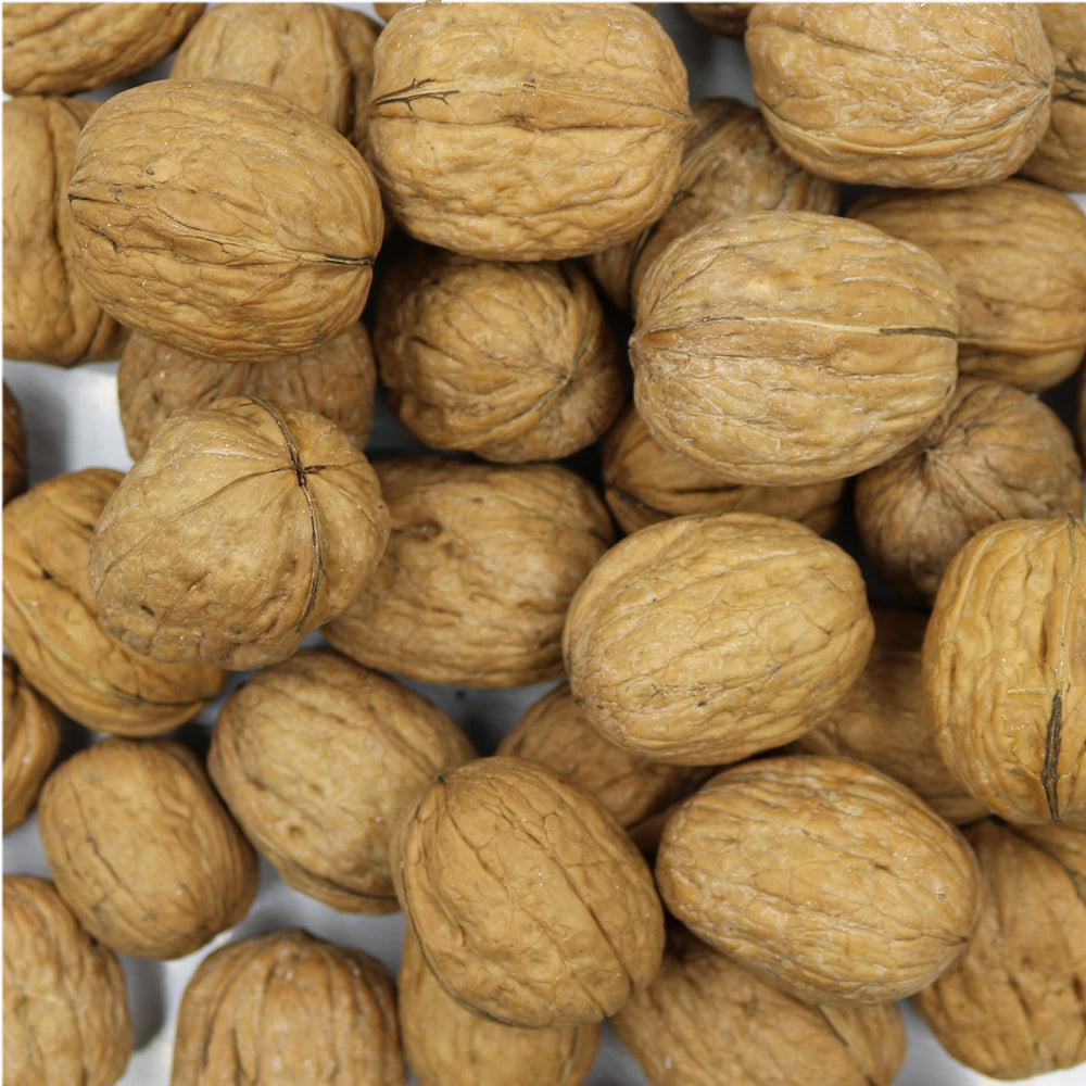 Smarty Stop close-up of walnut shell texture highlighting natural protection