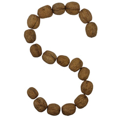 Smarty Stop cracked walnuts displaying clean kernels ready for recipes