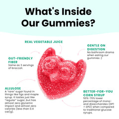 Snack Owl close-up of soft gummy texture highlighting chewiness and sour coating benefit