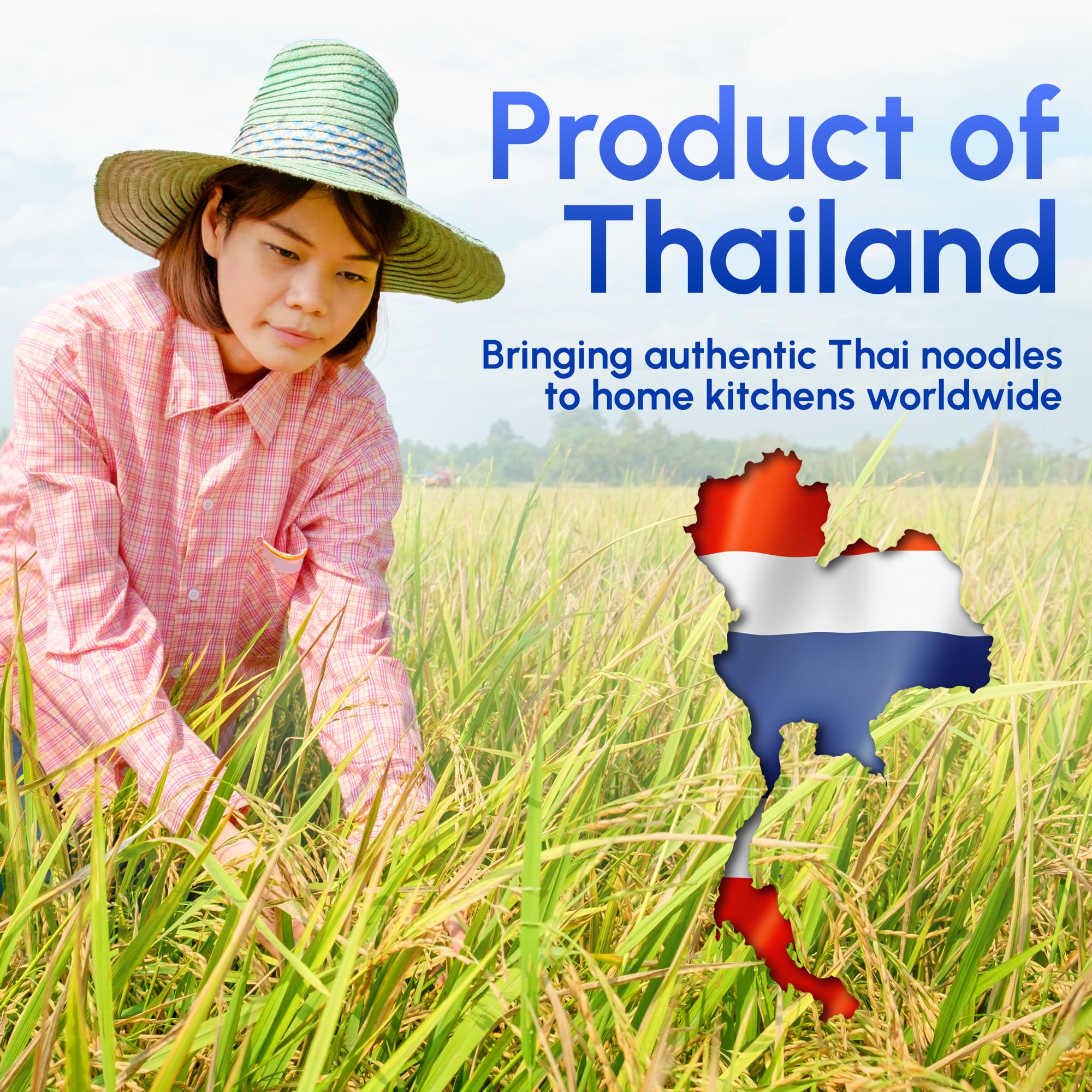 Snackathon plated Pad Thai using wide rice sticks showcasing hearty presentation benefit