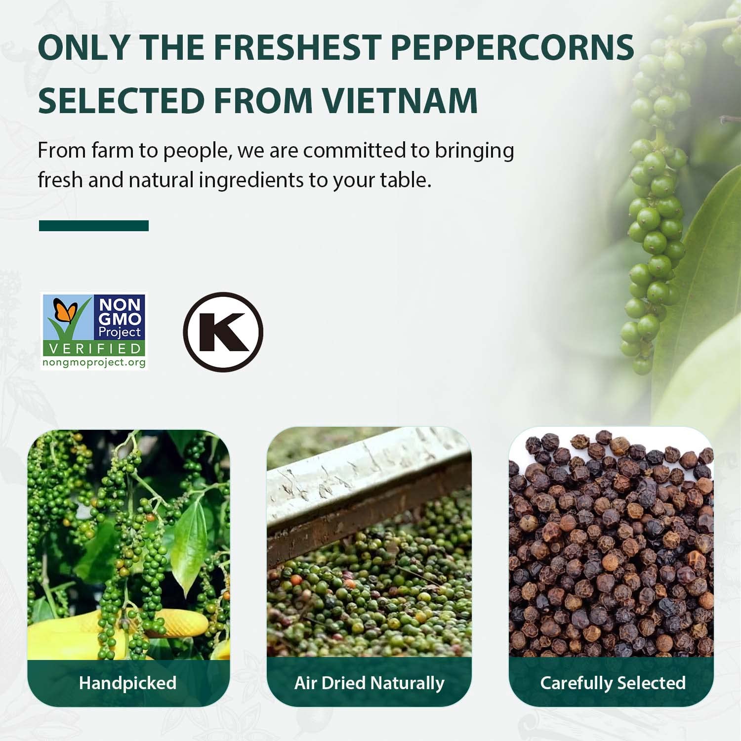Soeos peppercorns scattered on wood board for visual seasoning idea