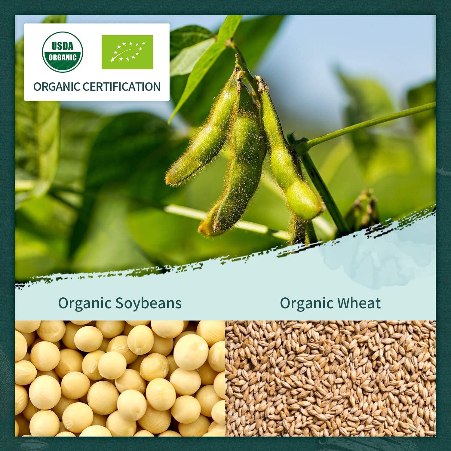 Soeos label close-up showing organic certification and ingredient clarity