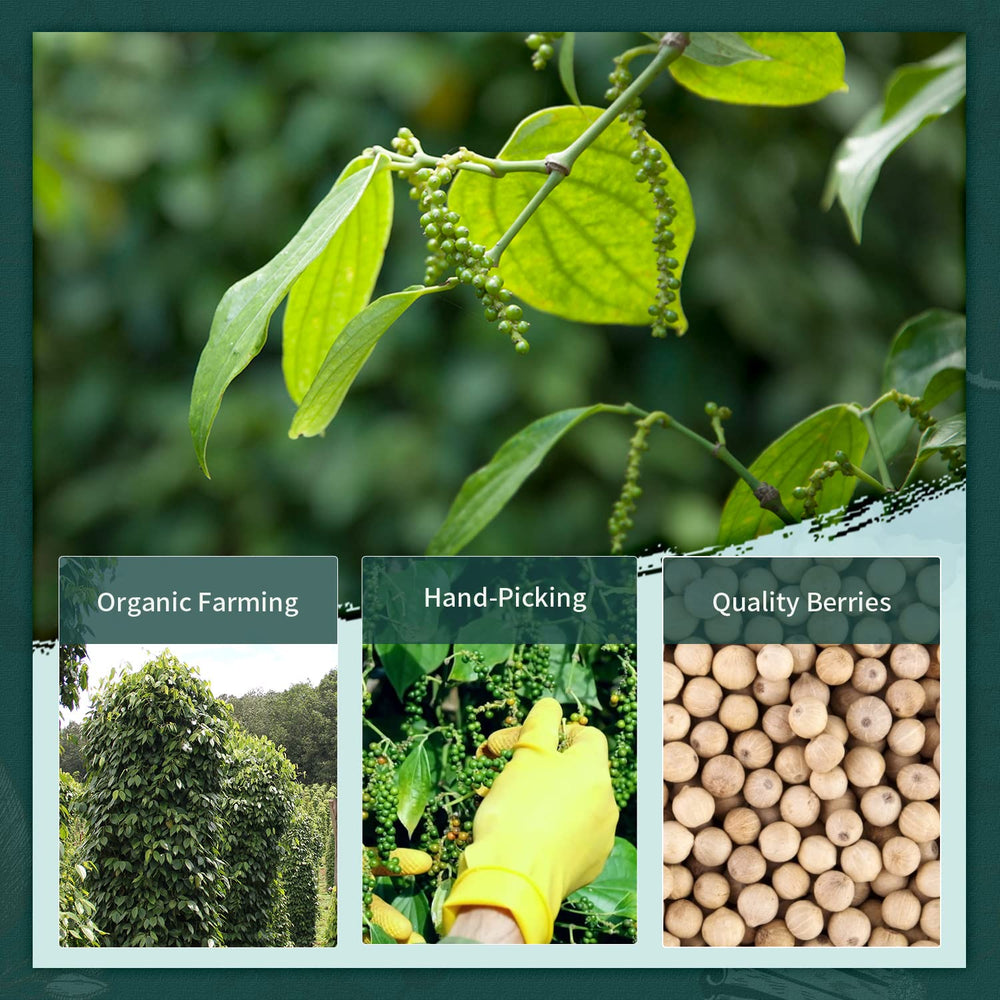 Soeos label showing Kosher and Non-GMO badges for trusted sourcing