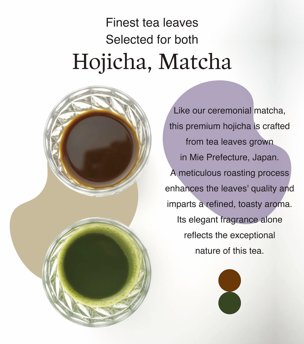 creamy hojicha latte in clear glass made with SOKYO powder, showcasing mellow roasted flavor