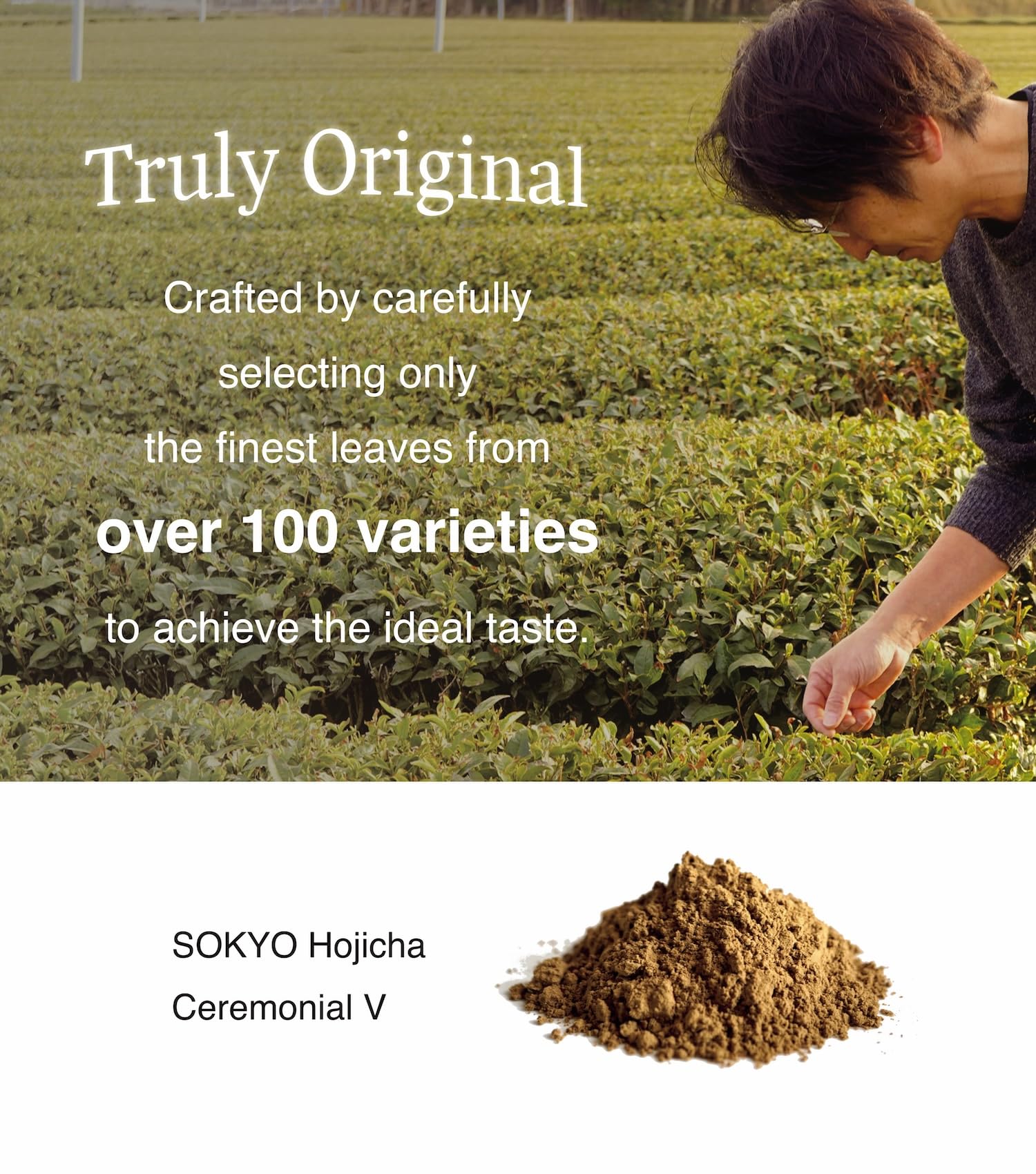 Shizuoka tea fields where SOKYO grows leaves, emphasizing clean water and rich soil sourcing