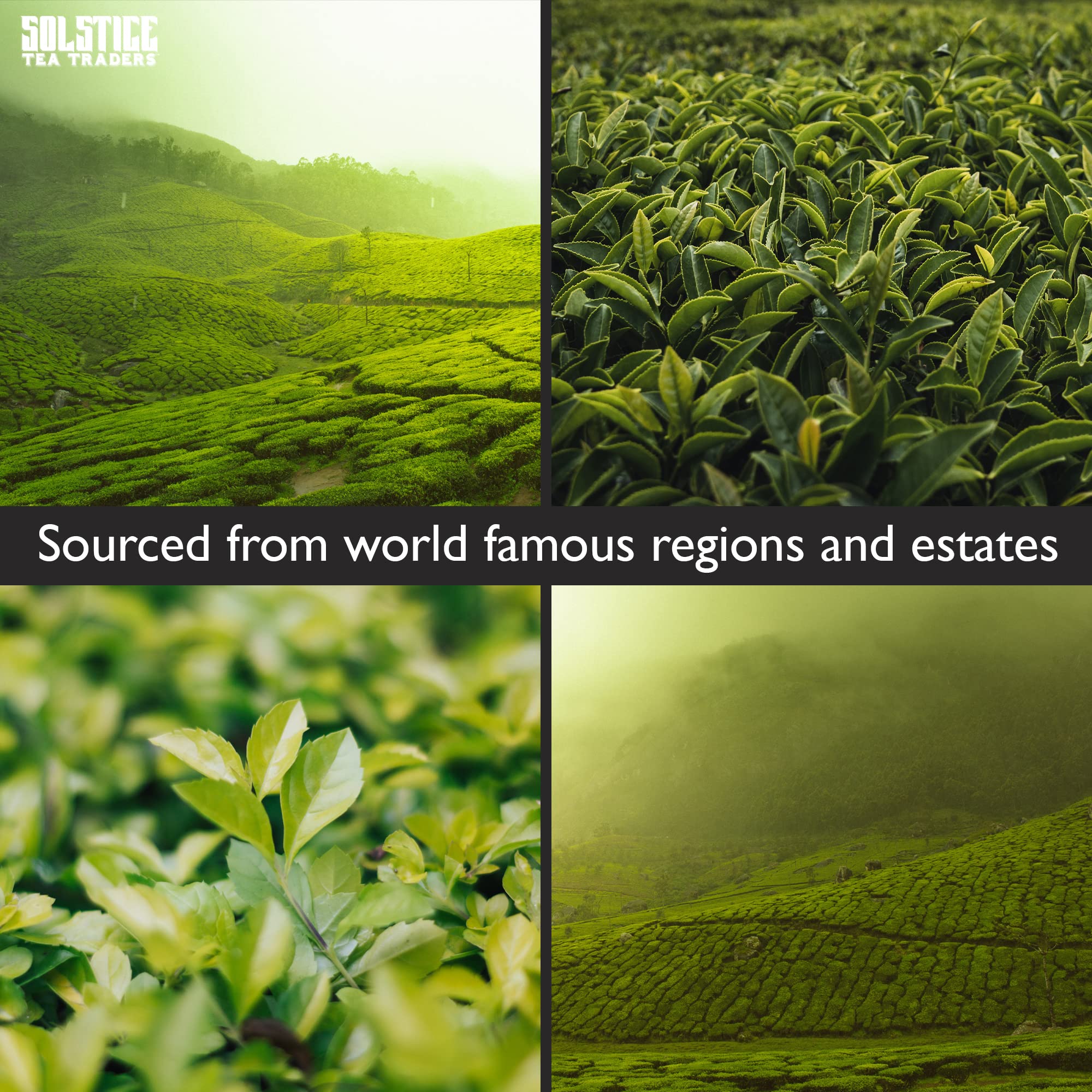 SOLSTICE TEA TRADERS herbal flavorings closeup highlighting fragrant ingredients