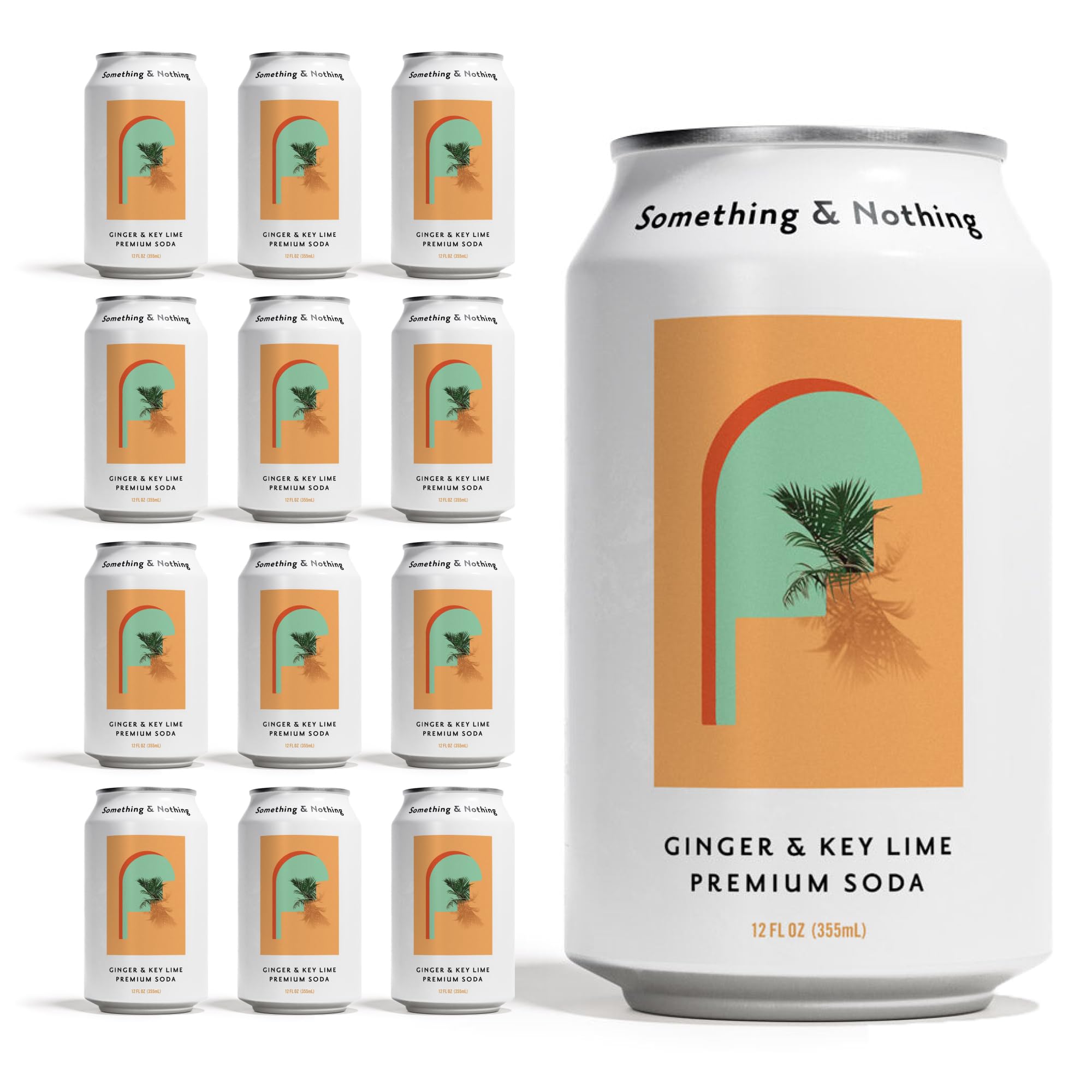Something & Nothing front packaging showing 12-pack and bold flavor benefit