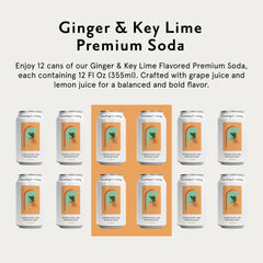 Something & Nothing can on ice with lime wedge showing chilled serving benefit