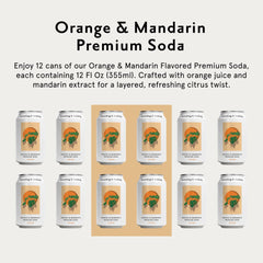 Something & Nothing can in hand demonstrating 12 oz size and convenient single-serve portion