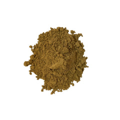 SONO steaming cup of brewed hojicha showing robust smoky aroma benefit