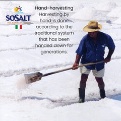 SOSALT Dal Mare hand-harvest scene highlighting artisanal harvesting benefit