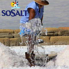 SOSALT DAL MARE DI TRAPANI harvest action with workers raking salt for authenticity