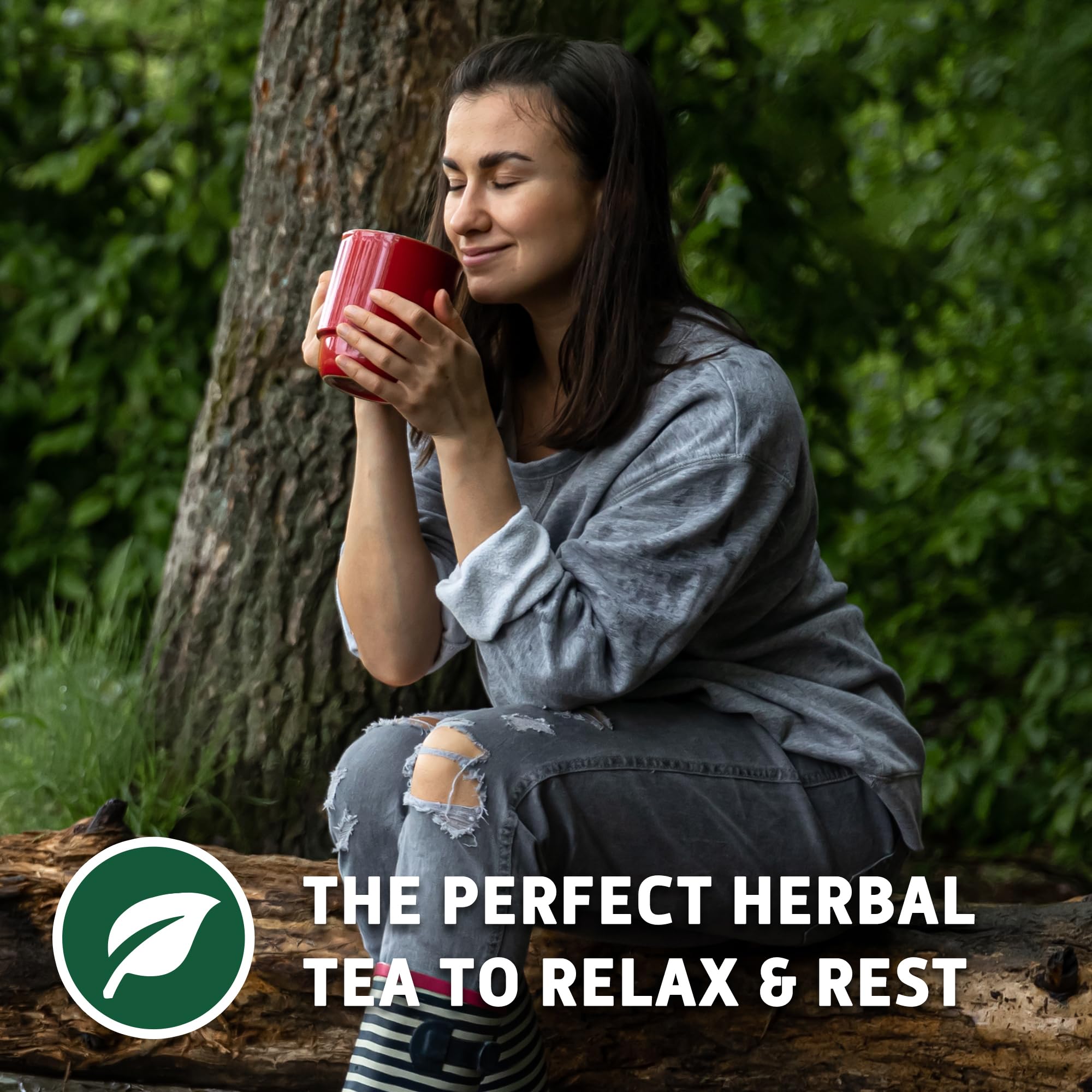 Sou Zen iced pine needle tea in a glass illustrating a refreshing caffeine-free option