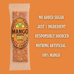 South 40 Snacks close-up of mango bar texture highlighting real fruit
