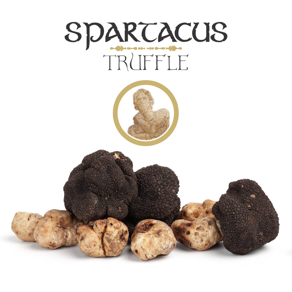Spartacus Truffle spooned onto pizza to show elevated home-cooked toppings
