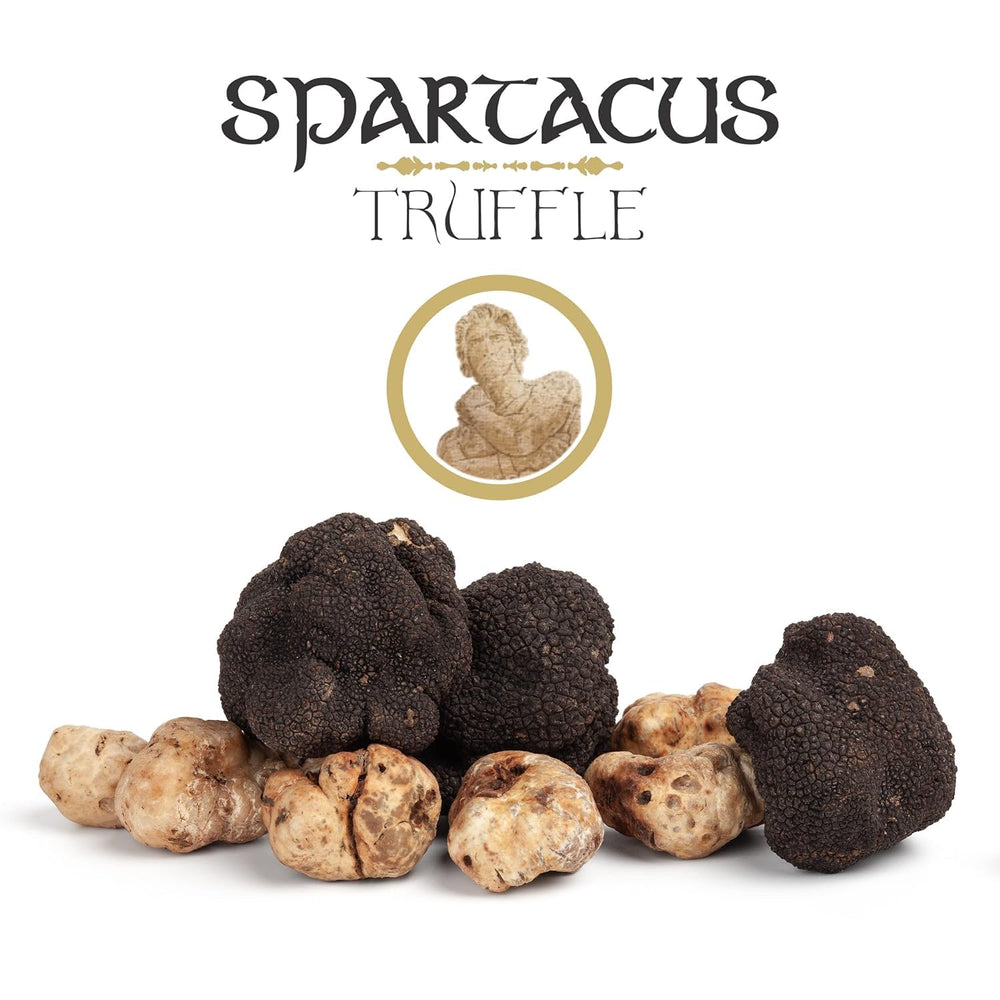 Spartacus Truffle jar beside olive oil and herbs suggesting pairing ideas