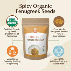 SPICY ORGANIC spoon with fenugreek seeds portioned for cooking convenience