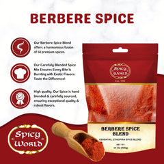 Spicy World spoon with berbere portion illustrating concentrated flavor and heat