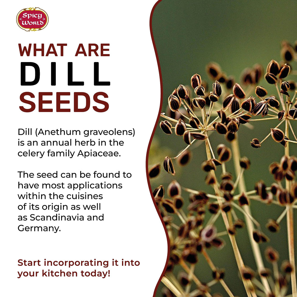 Spicy World dill seeds in a ceramic bowl ready for measuring and use