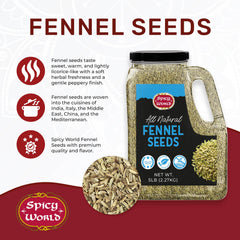 Spicy World scoop of fennel seeds showing scale and bulk convenience