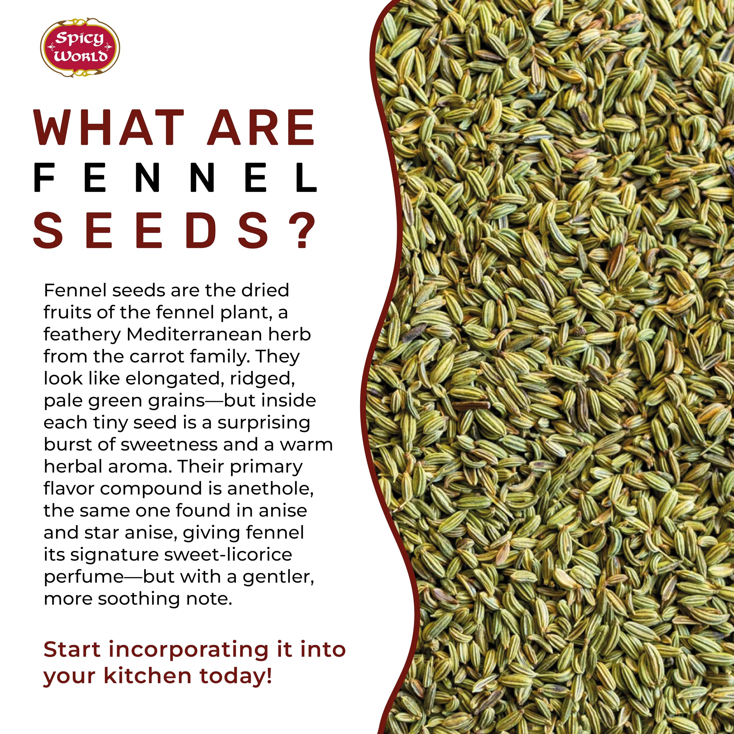 Spicy World spoon of seeds pouring over a dish adding flavor boost