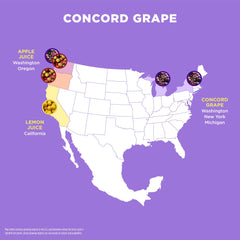 Spindrift Concord Freeze can close-up highlighting real fruit texture benefit