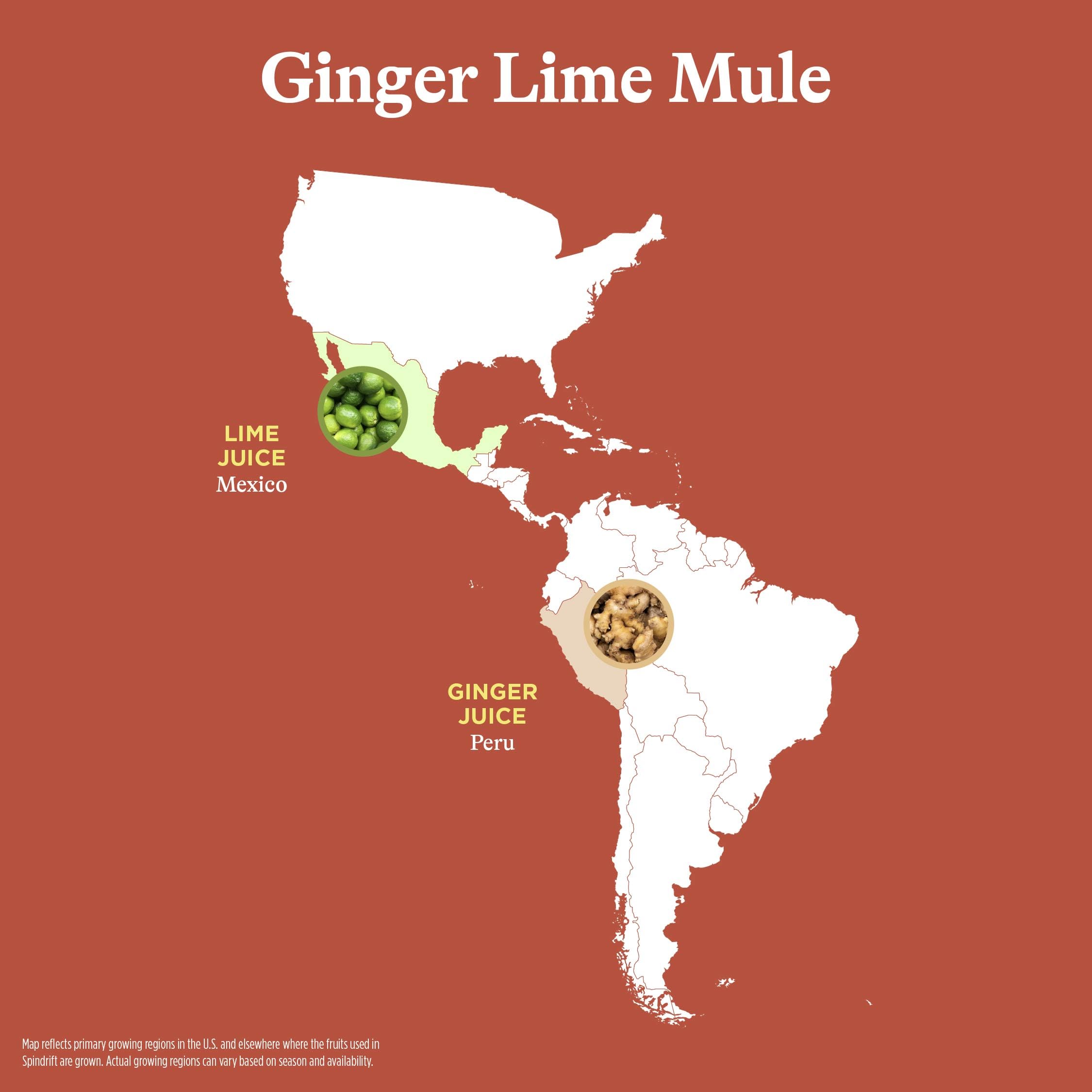 Spindrift Ginger Lime Mule close-up pulpy texture highlights authentic fruit flavor