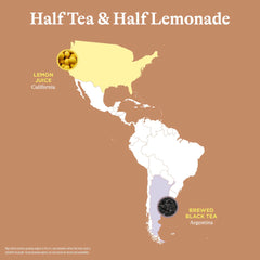 Close-up Spindrift label highlighting real squeezed lemon and brewed tea ingredients