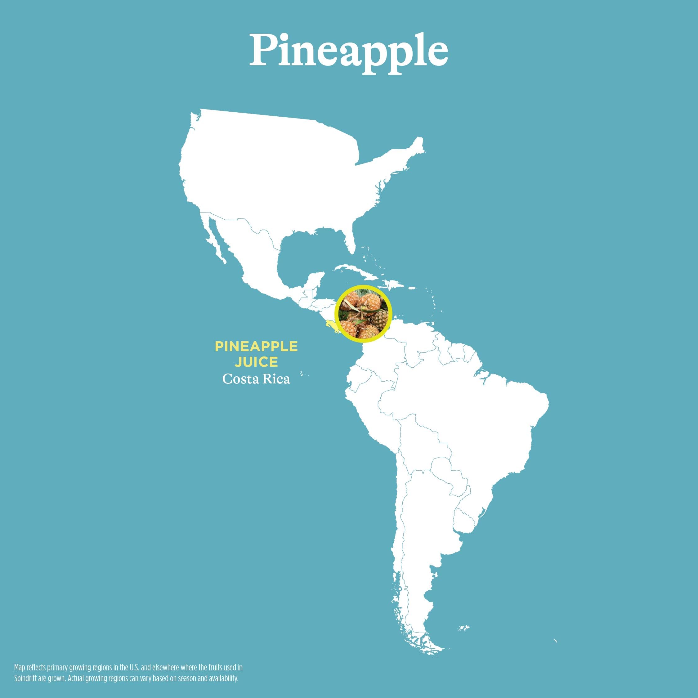 Spindrift pineapple slim can close-up highlighting authentic juice appeal