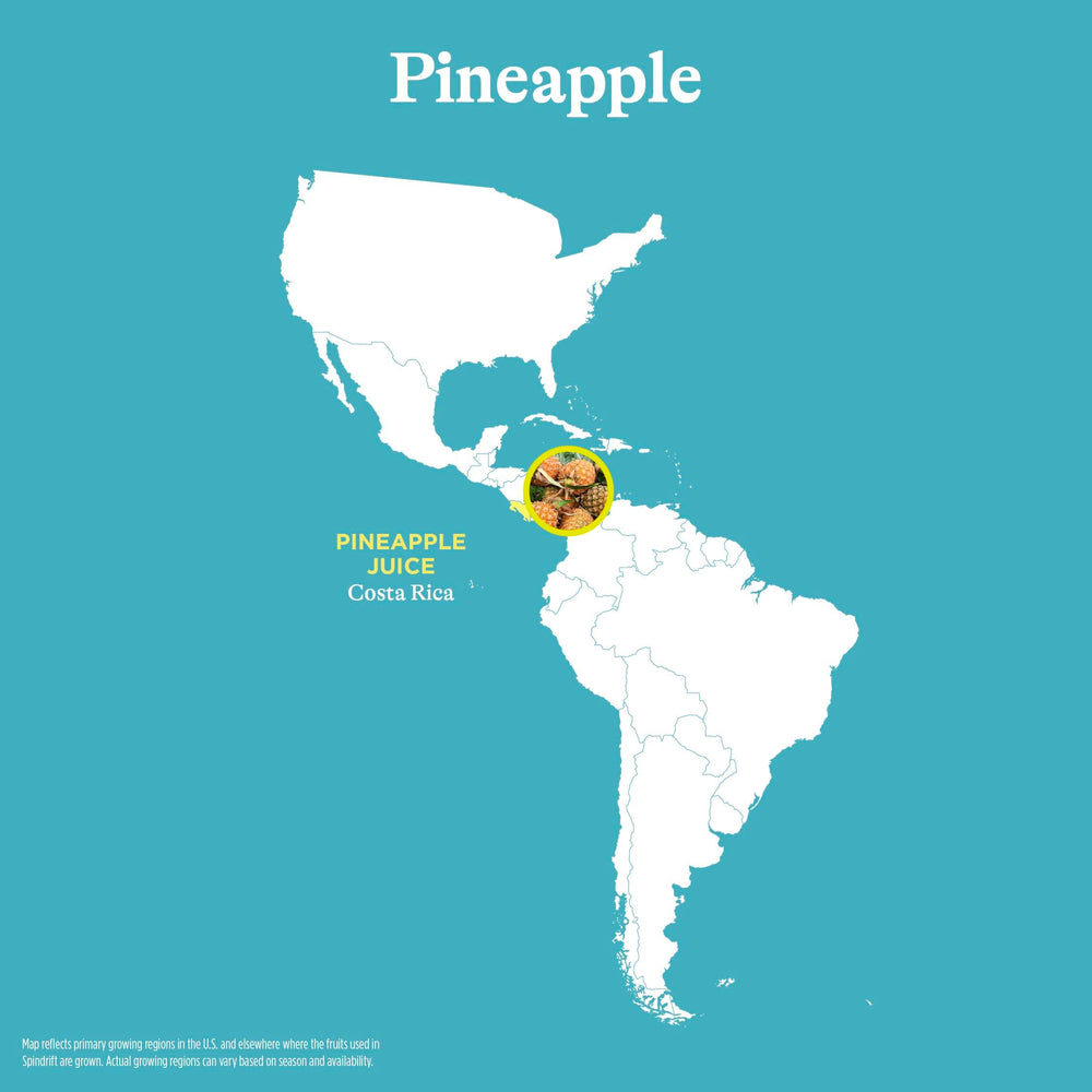 Spindrift pineapple slim can close-up highlighting authentic juice appeal