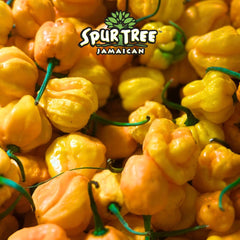 Spur Tree sauce being poured over grilled chicken adding authentic Jamaican flavor