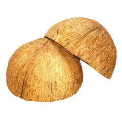 Sri Craft coconut shell held in hand showing scale and practical size