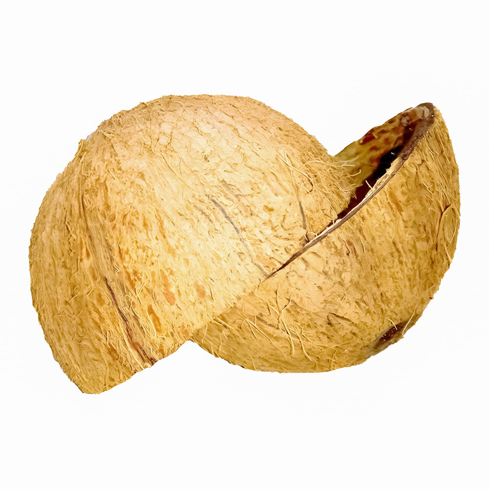 Sri Craft coconut shell used as bird feeder demonstrating pet-friendly use