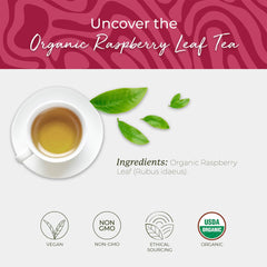 Starwest Botanicals brewed cup of raspberry leaf tea showcasing warm, caffeine-free refreshment