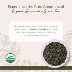 Close-up of rolled gunpowder Camellia sinensis pellets highlighting fresh dry-leaf texture