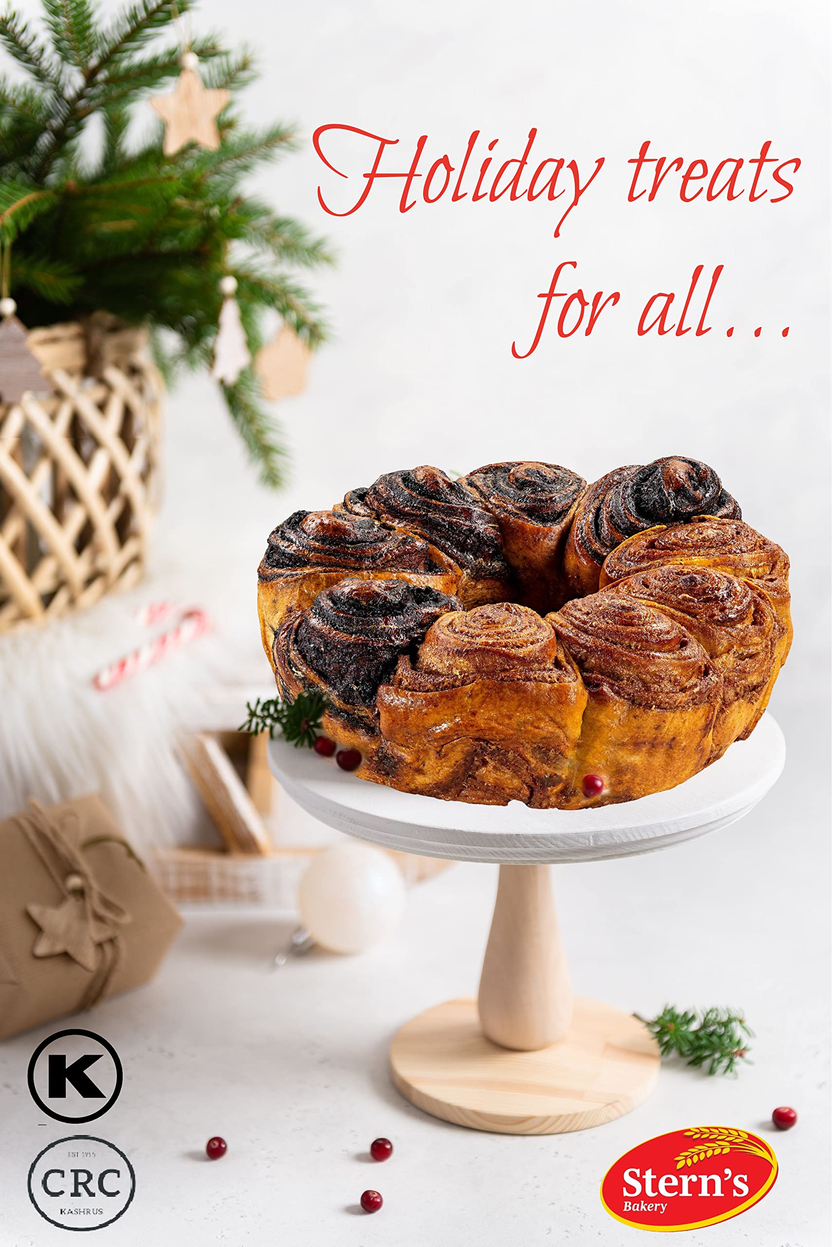 Stern's Bakery babka held next to a hand to show real-life size and portion guidance
