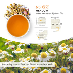 STEVEN SMITH TEAMAKER brewed cup of Meadow Chamomile showing warm color