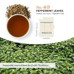 STEVEN SMITH TEAMAKER sachet steeping in cup showing clear mint infusion benefit