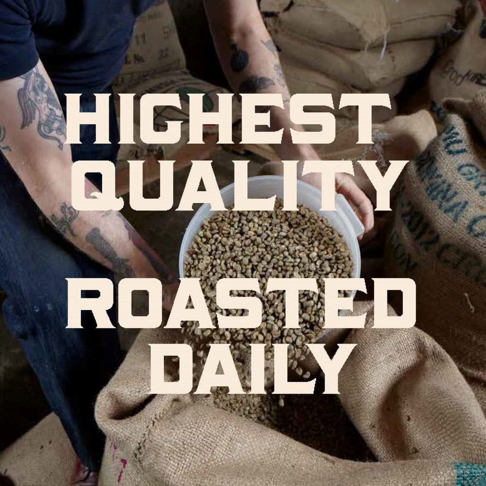 Stumptown ground coffee texture showing medium grind for drip brewing benefits