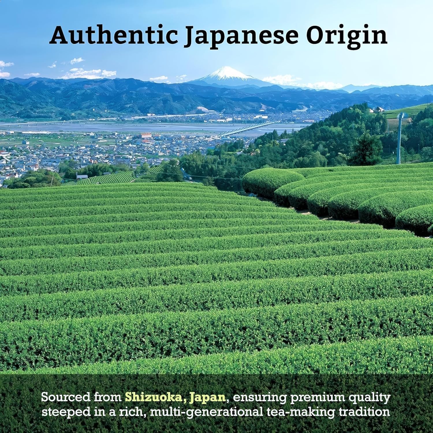 SUGIMOTO TEA loose leaves and stems visual, conveys organic sencha blend and roast profile