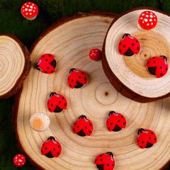 Sujoygar ladybug on cupcake demonstrating quick placement and polished party presentation