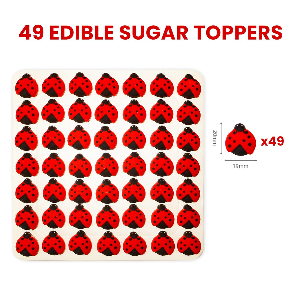 Sujoygar ladybug beside ruler to show size and easy portioning benefit