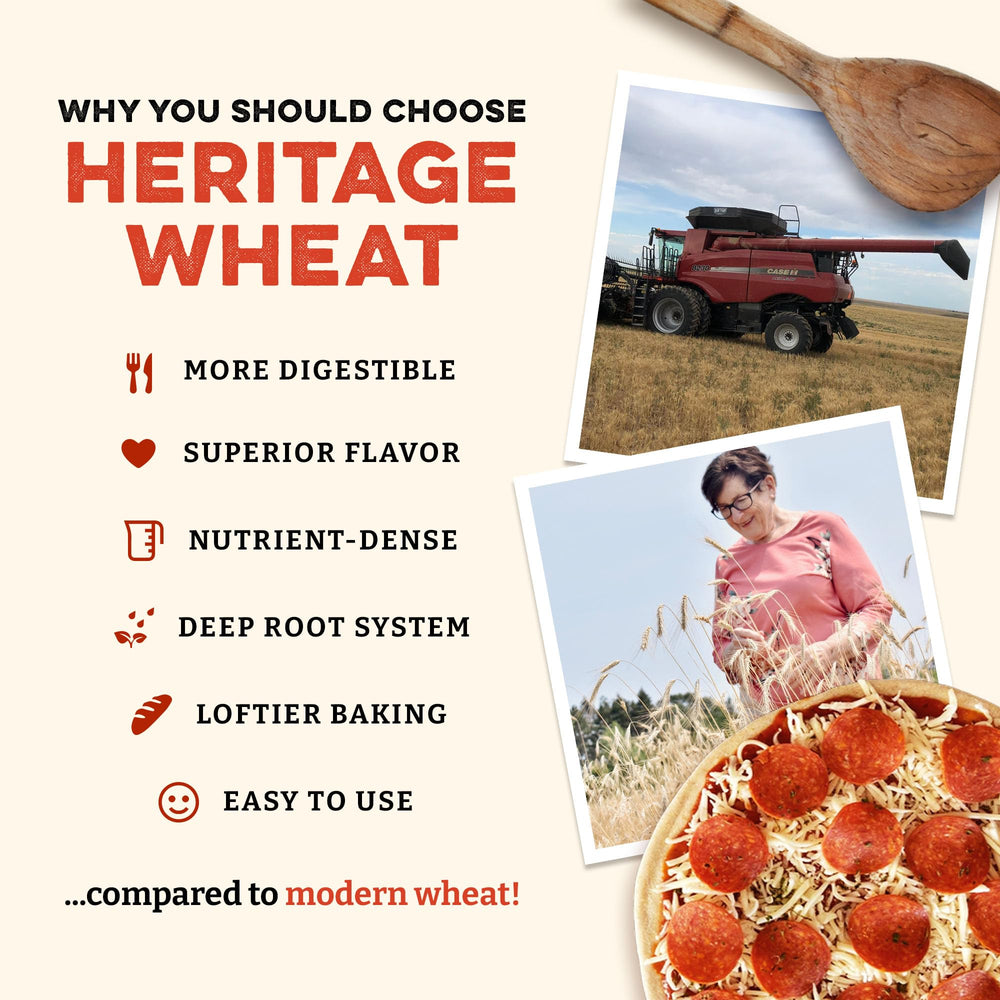 Sunrise Flour Mill fine flour texture close-up highlighting fluffy, fast-absorbing particles